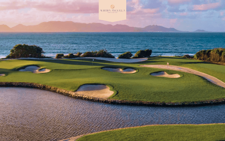 Exclusive Course Access