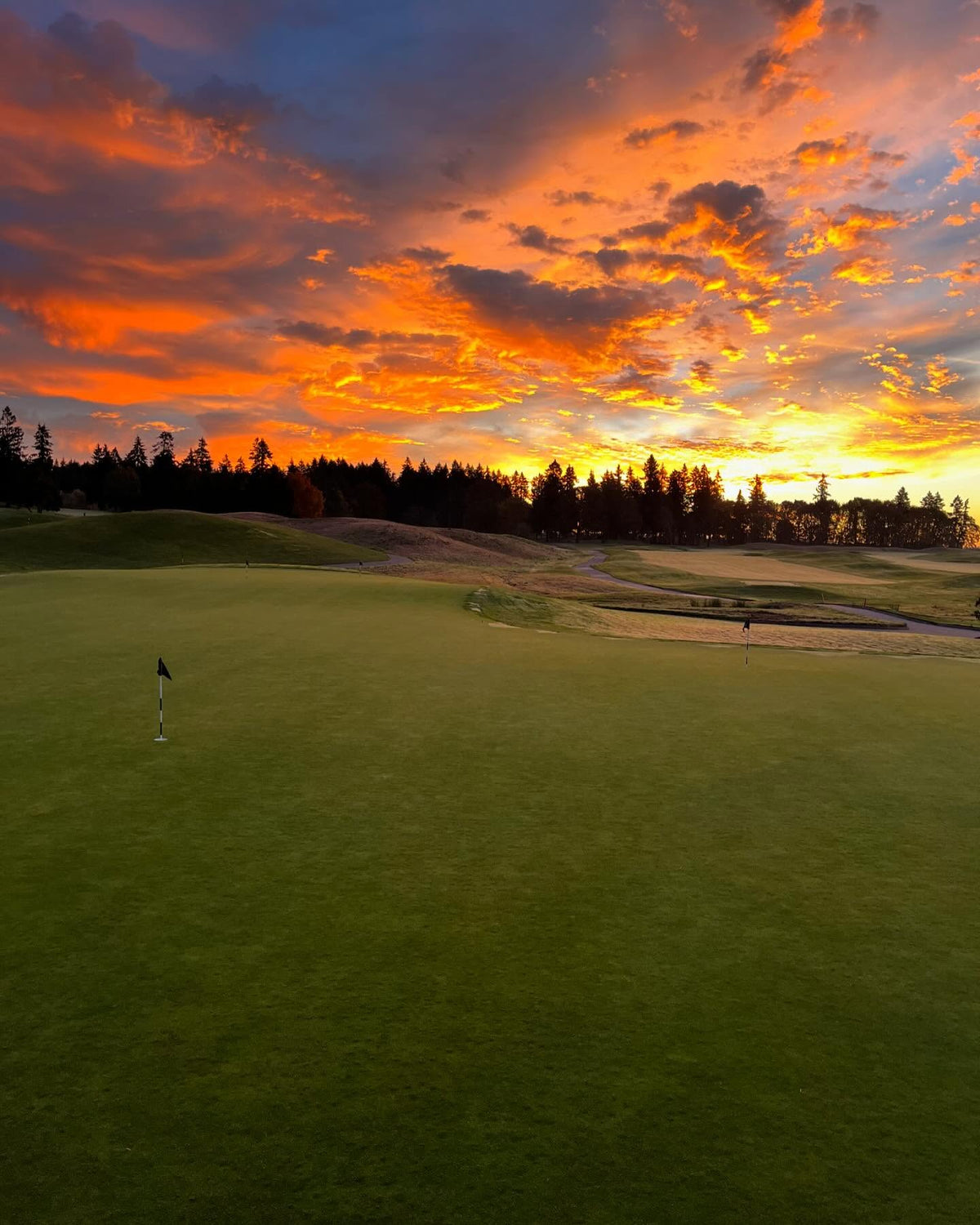 Pumpkin Ridge Invitational | Albatross Golf USA